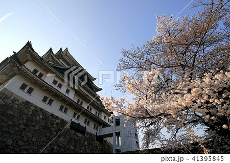 名古屋城 41395845