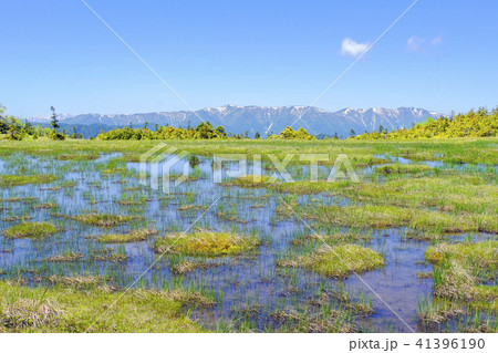 田代湿原と残雪の山々 41396190