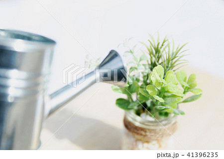 植物（造花）と如雨露 41396235
