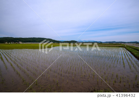 栃木県 西方城址 男体山方面 田園風景 栃木県 西方城址 男体山方面 田園風景 41396432