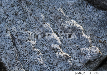 荒い岩肌 41396986