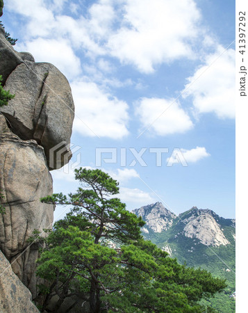 徳陽区 高陽市 コヤンシ 41397292