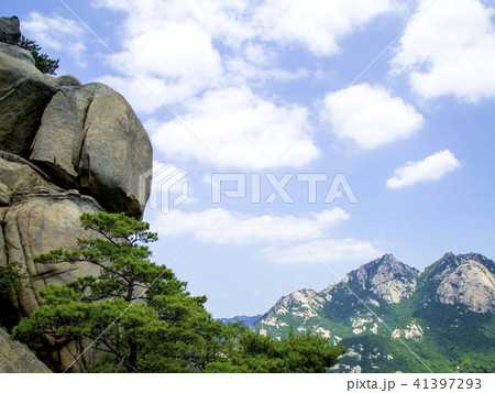 徳陽区 高陽市 コヤンシ 41397293