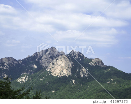 鍾路区 ソウル市 城 41397373