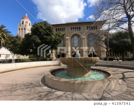 スタンフォード大学 スタンフォード大学 41397541