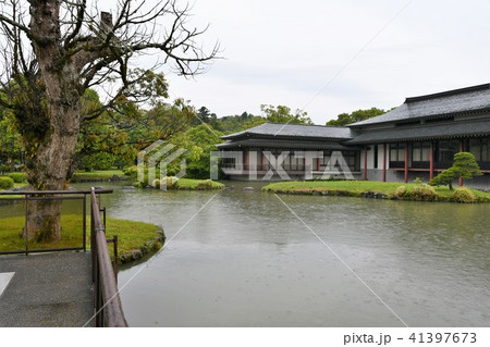 雨の宇佐神宮 41397673