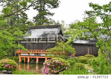 雨の宇佐神宮 雨の宇佐神宮 41397723