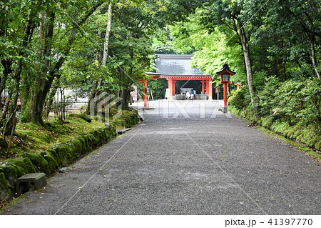 雨の宇佐神宮 雨の宇佐神宮 41397770