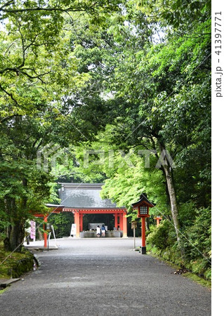 雨の宇佐神宮 雨の宇佐神宮 41397771