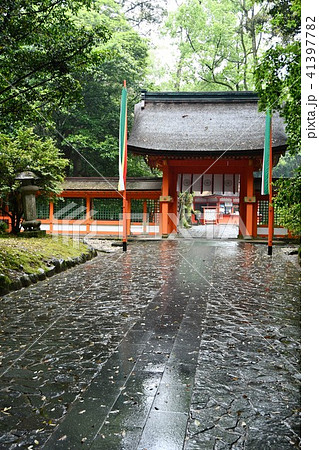 雨の宇佐神宮 雨の宇佐神宮 41397782