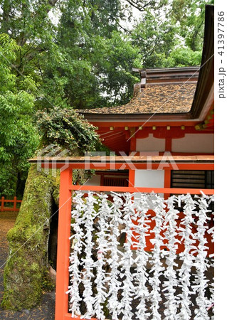 雨の宇佐神宮 雨の宇佐神宮 41397786