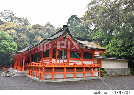 雨の宇佐神宮 41397788