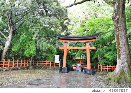 雨の宇佐神宮 雨の宇佐神宮 41397837