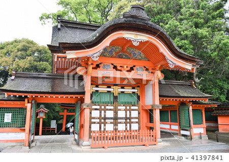 雨の宇佐神宮 41397841