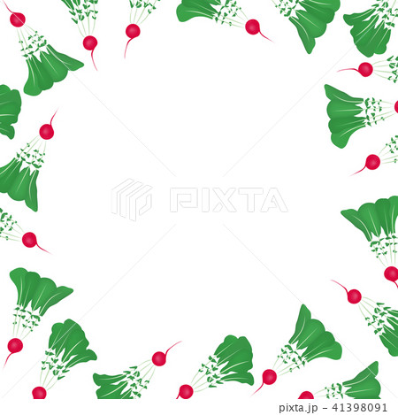 ラディッシュ イラスト 野菜フレーム ラディッシュ イラスト 野菜フレーム 41398091