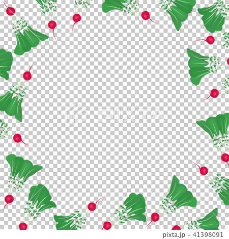 Radish illustration vegetable frame Radish illustration vegetable frame 41398091
