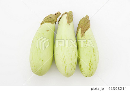 青茄子 青茄子 41398214