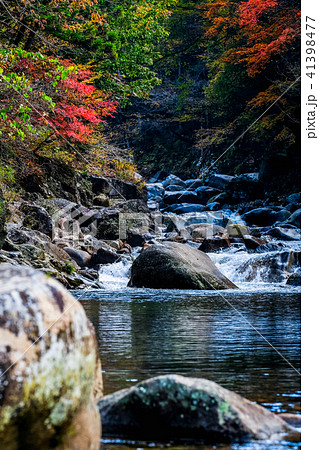 小戸名渓谷 (秋) 小戸名渓谷 (秋) 41398477