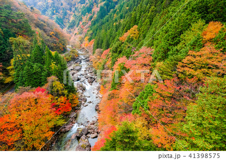 小戸名渓谷 （秋） 41398575