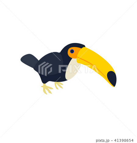 Toucan icon, isometric 3d style  41398654