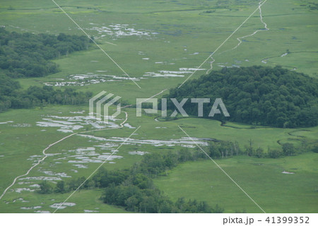 至仏山山頂からの尾瀬ヶ原　ニッコウキスゲの季節 41399352