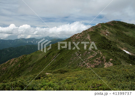 至仏山　山頂への道　夏7月 41399737
