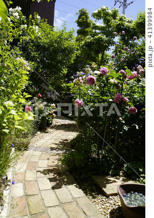 アプローチ 洋風住宅 ローズガーデンの写真素材