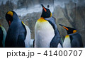 ペンギン ぺんぎん ペンギン 41400707