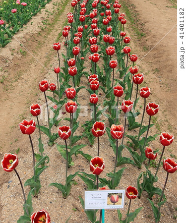 レノックス 41401182