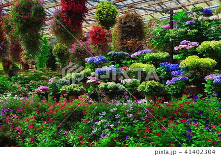 花温室 41402304
