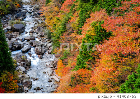小戸名渓谷 （秋） 41403765