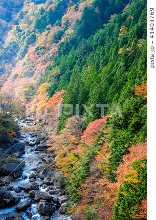 小戸名渓谷 (秋) 小戸名渓谷 (秋) 41403769