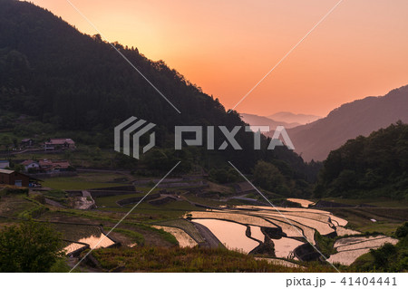 井仁の棚田の黎明 41404441