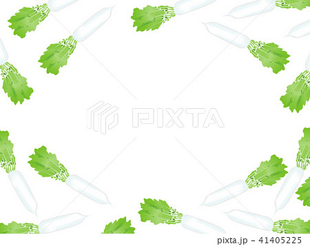 大根 イラスト 野菜フレームのイラスト素材