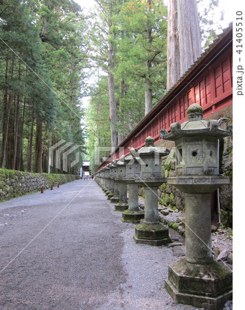 二荒山神社の参道 41405510