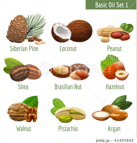 Basic Oil Set in Realistic Style Basic Oil Set in Realistic Style 41405843