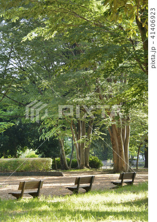 公園のベンチ 公園のベンチ 41406923