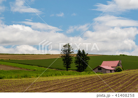 赤い屋根の家 美瑛 赤い屋根の家 美瑛 41408258