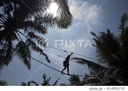 Toddy tapper Sri Lanka 41409150