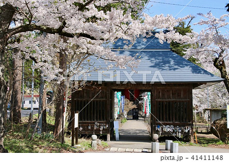 立木観音の桜(福島県・会津坂下町) 立木観音の桜(福島県・会津坂下町) 41411148