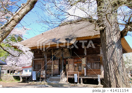 立木観音の桜（福島県・会津坂下町） 41411154