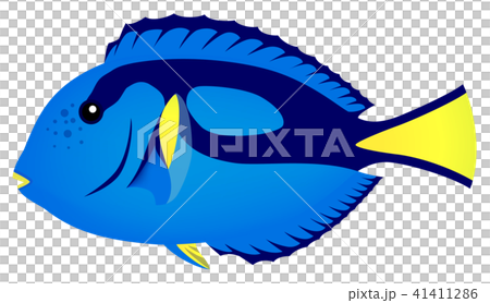 Nanohowaki白色背景 41411286