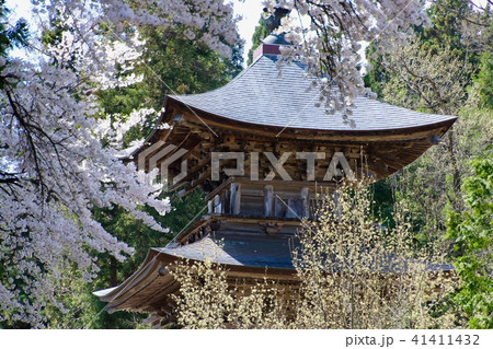 法用寺の桜（福島県・会津美里町） 41411432