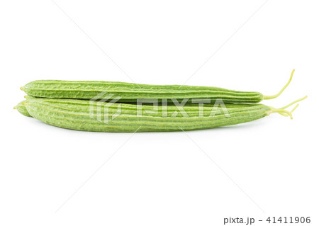 Fresh green luffa acutangula isolated on white 41411906