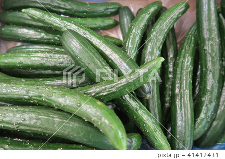 きゅうり きゅうり 41412431