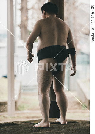Sumo wrestling Sumo wrestling 41416509