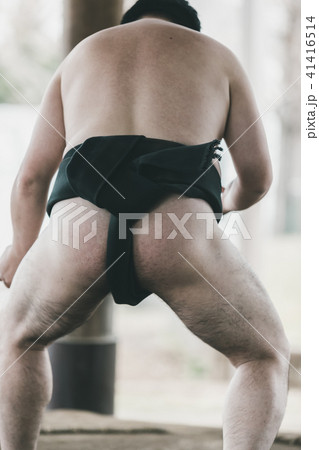 Sumo wrestling 41416514