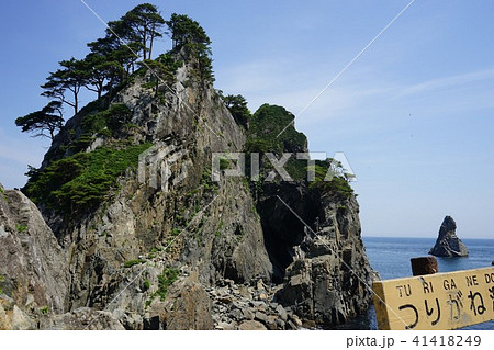 三陸ジオパーク久慈の海岸 41418249