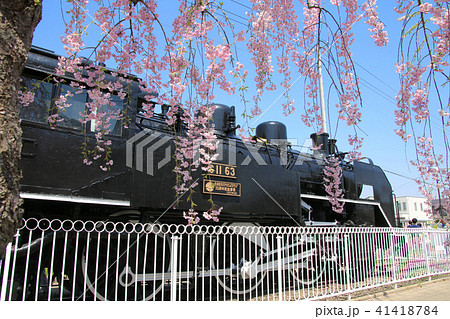 日中線のしだれ桜(福島県・喜多方市) 日中線のしだれ桜(福島県・喜多方市) 41418784