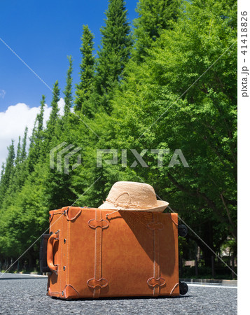 神宮外苑の銀杏並木 41418826